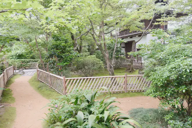 DSCF1795.webp