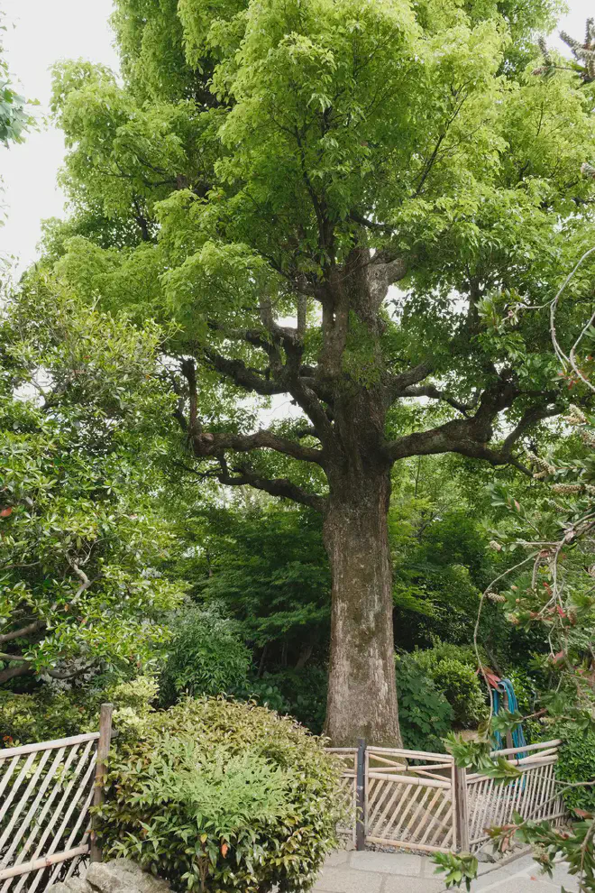 DSCF1800.webp