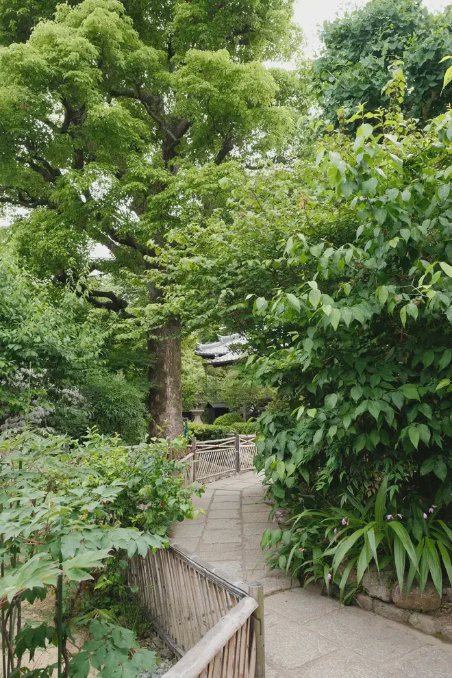 DSCF1806.webp